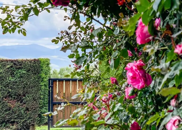 Niu De L'isard Apartment